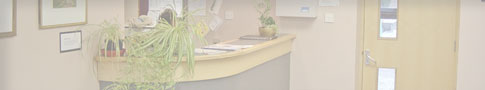 Benton Park School: news